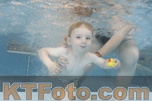 Photo 4262414