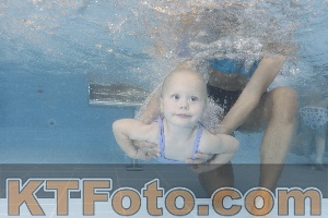 Photo 4262415