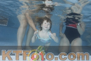 Photo 4262510