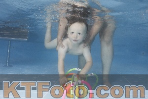 Photo 4262512