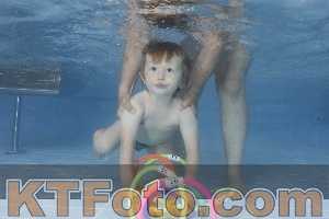 Photo 4262514