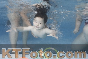 Photo 4262518