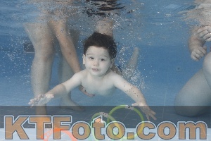 Photo 4262519