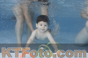 Photo 4262520