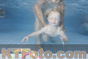 Photo 4262528