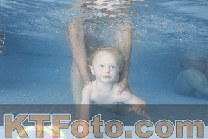 Photo 4262529