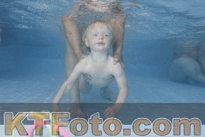 Photo 4262530
