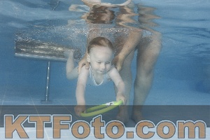 Photo 4262532