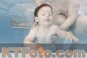 Photo 4262539