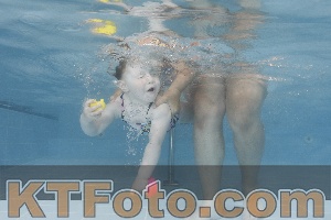 Photo 4262542
