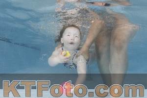 Photo 4262543