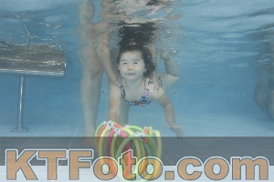 Photo 4262629