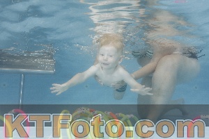 Photo 4262634