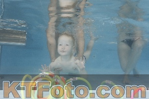 Photo 4262636