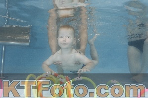 Photo 4262637