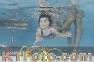 Photo 4262639