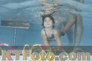 Photo 4262640