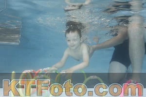 Photo 4262642