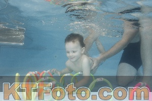 Photo 4262643
