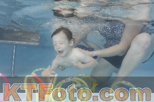 Photo 4262648