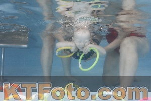 Photo 4262650