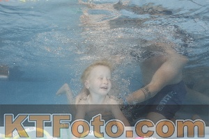 Photo 4262654