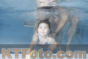 Photo 4262659