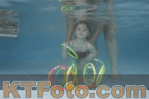 Photo 4262754