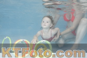 Photo 4262757