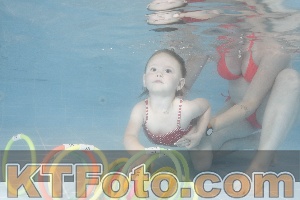 Photo 4262758