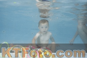 Photo 4262760