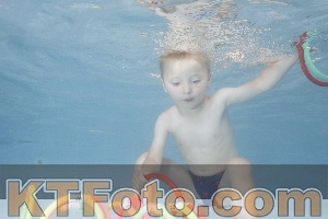 Photo 4262762