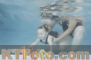 Photo 4262763