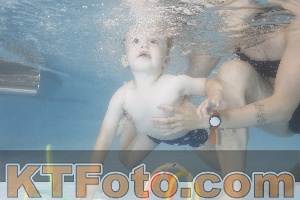 Photo 4262773