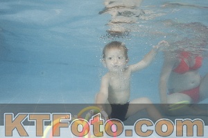 Photo 4262775