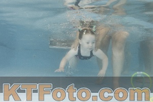 Photo 4262777