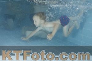 Photo 4262793