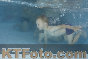 Photo 4262794