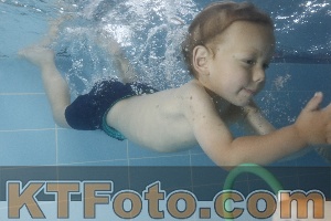 Photo 4262812