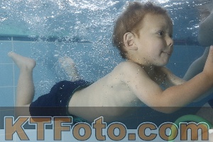 Photo 4262813