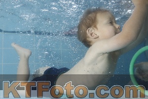 Photo 4262814