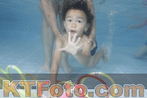 Photo 4262925