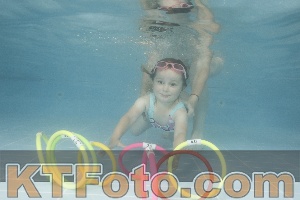 Photo 4262928