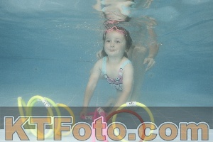 Photo 4262929