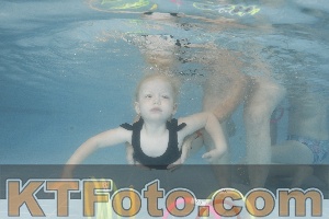 Photo 4262931