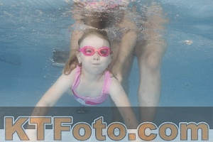 Photo 4262936