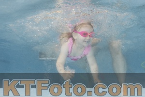 Photo 4262943