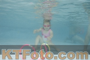 Photo 4262948