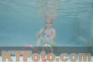 Photo 4262949