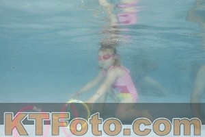 Photo 4262951
